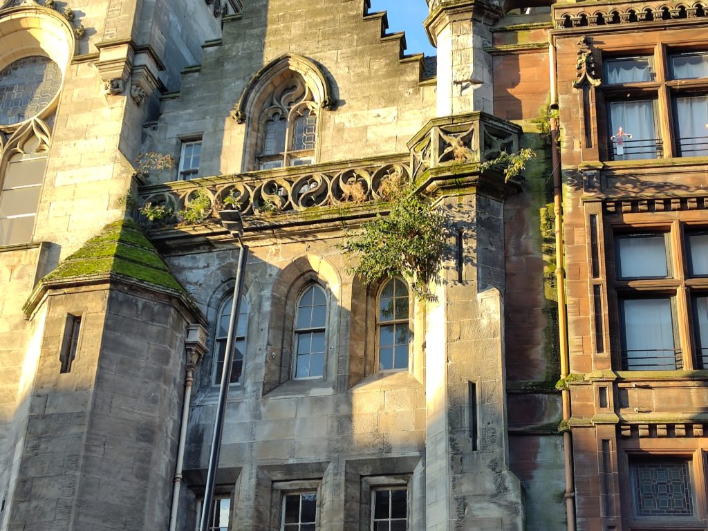 Historic stone building with plants growing out of it.